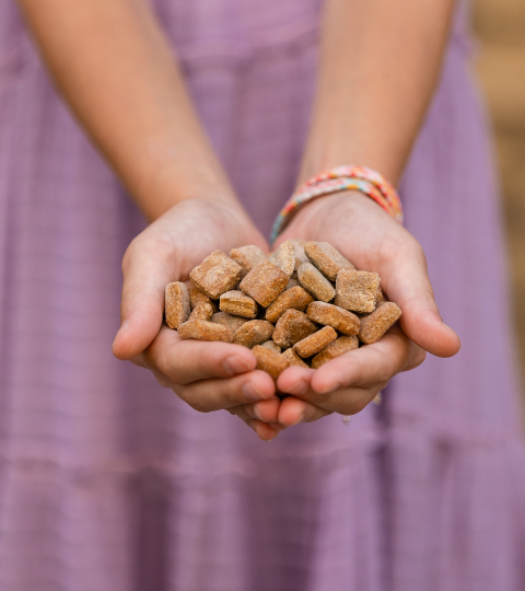 Nummers™  Crunchy Chicken